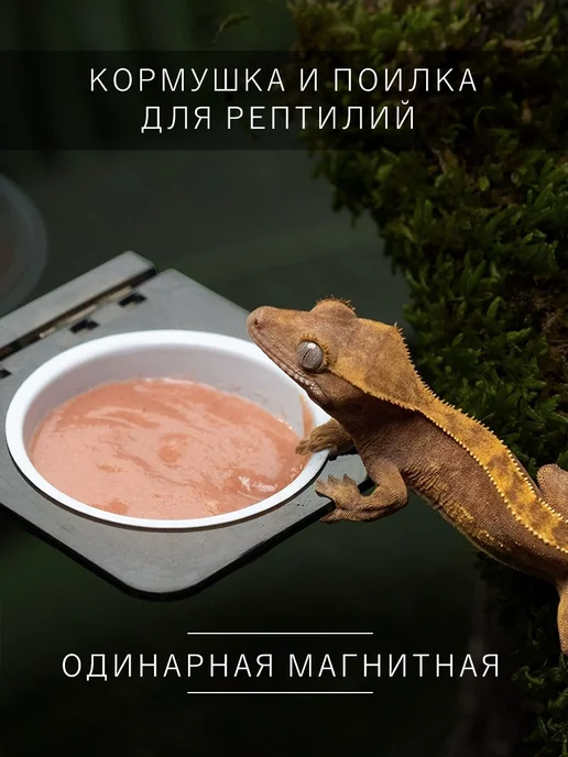 SupeRep Кормушка-поилка для рептилий, вариант, фото 2