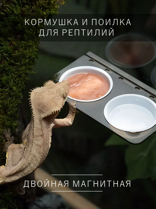 SupeRep Кормушка-поилка для рептилий, в упаковке 90 г, фото 2