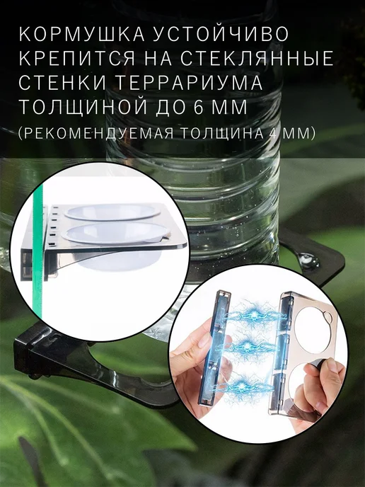 SupeRep Кормушка-поилка для рептилий, в упаковке 90 г, фото 3