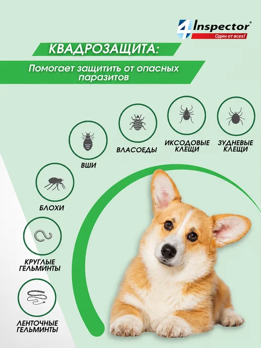 inspector Инспектор Квадро С Капли для собак 4-10 кг (1 пипетка), 410 кг, фото 3