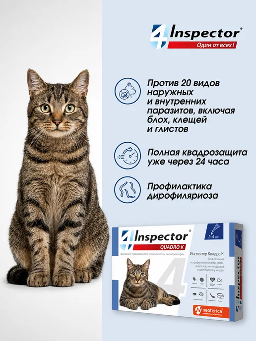 inspector Инспектор Квадро К Капли для кошек 1-4 кг 1 пипетка, 14 кг, фото 2