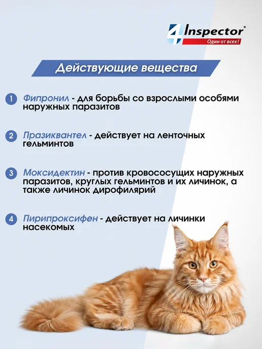 inspector Инспектор Квадро К Капли для кошек 1-4 кг 1 пипетка, 14 кг, фото 3