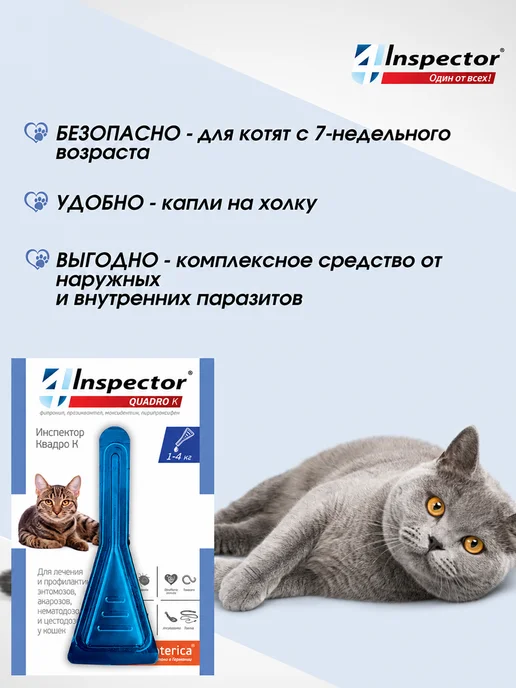 inspector Инспектор Квадро К Капли для кошек 1-4 кг 1 пипетка, 14 кг, фото 6