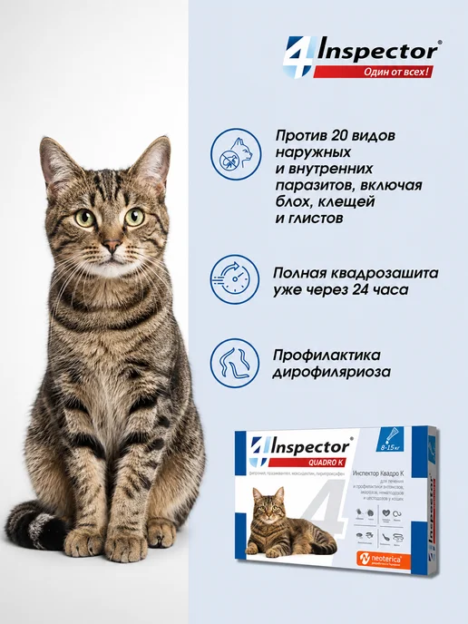 inspector Инспектор Квадро К Капли для кошек 1-4 кг 3 пипетки, 14 кг, фото 2