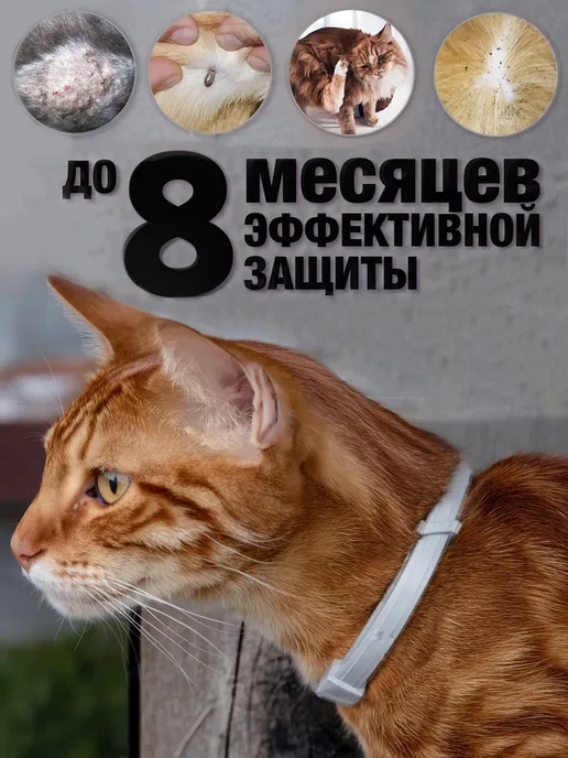 ROLF CLUB Рольф ошейник от клещей и блох для кошек 40 см, вариант, фото 5