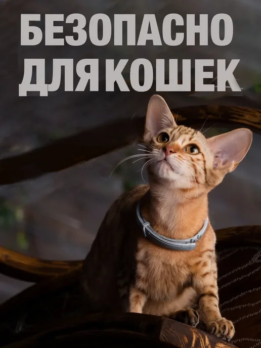ROLF CLUB Рольф ошейник от клещей и блох для кошек 40 см, вариант, фото 7