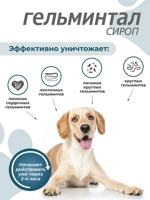 Гельминтал Сироп антигельминтный для собак более 10 кг 10 мл, 10 кг, 10 мл, фото 2