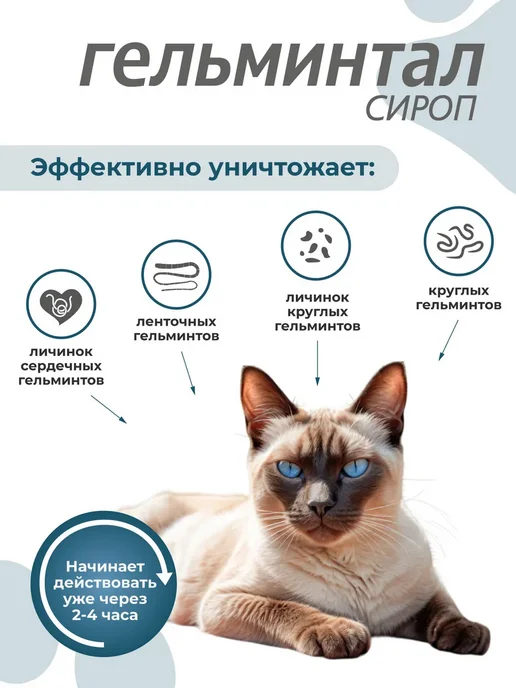 Гельминтал Сироп антигельминтный для котят и кошек менее 4 кг 5 мл, 4 кг, 5 мл, фото 2