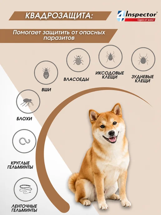 inspector Инспектор Квадро Табс для собак свыше 16 кг таблетки 4 шт, 16 кг, 4 шт, фото 3