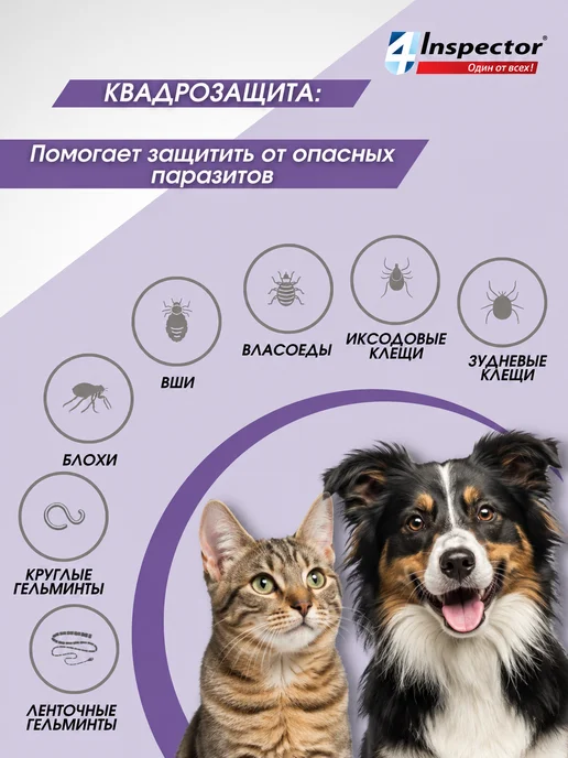 inspector Инспектор Квадро Табс для кошек и собак, таблетки 4 шт, 4 шт, фото 3