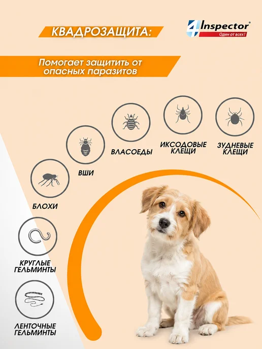 inspector Инспектор Квадро С Капли для собак 4-10 кг (1 пипетка), 2540 кг, фото 3