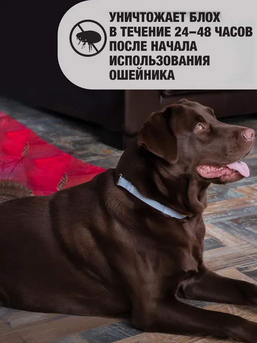 ROLF CLUB Рольф ошейник от клещей и блох для мелких собак и щенков, вариант, фото 7