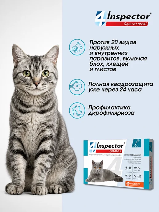 inspector Инспектор Квадро К Капли для кошек 1-4 кг 1 пипетка, 48 кг, фото 2