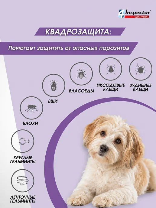 inspector Инспектор Квадро С Капли для собак 4-10 кг (1 пипетка), 1025 кг, фото 3
