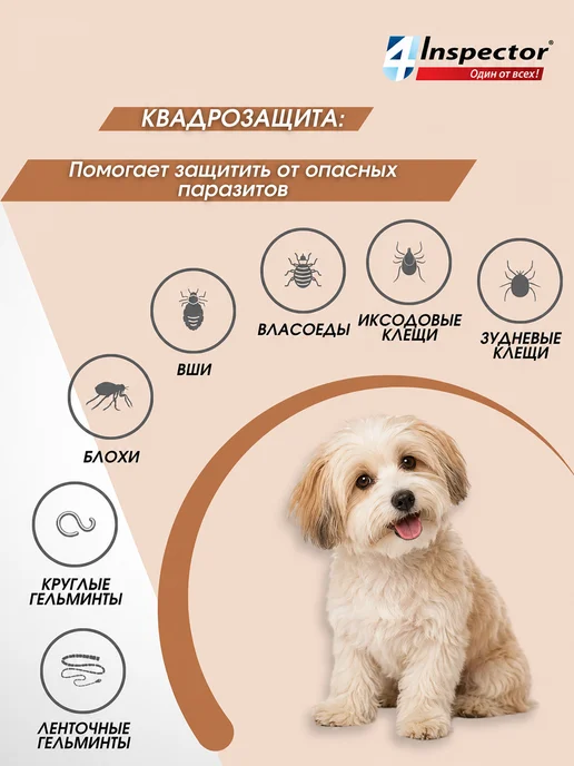inspector Инспектор Квадро С Капли для собак 4-10 кг (1 пипетка), 4060 кг, фото 3