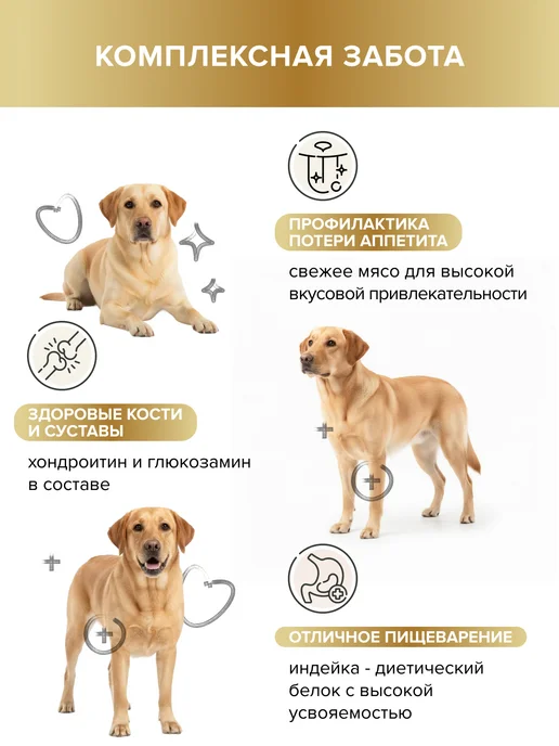Сухой корм DOCTRINE health starts with nutrition Свежим Монобелок для собак, индейка, мясо, 0,8 кг, фото 2