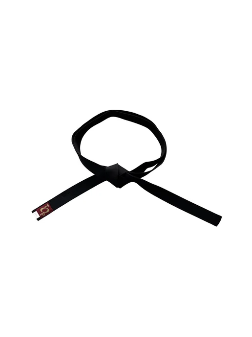 Пояс для единоборств кимоно, черный, фото 7