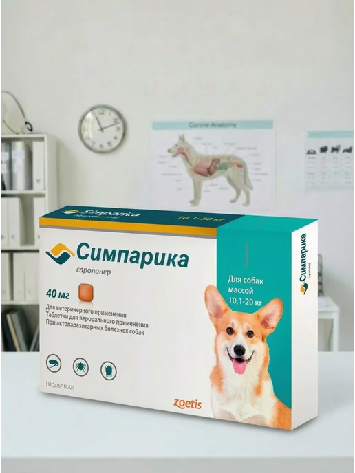 Zoetis Симпарика 2,6-5 кг 3 таб, 10,12 кг, фото 4