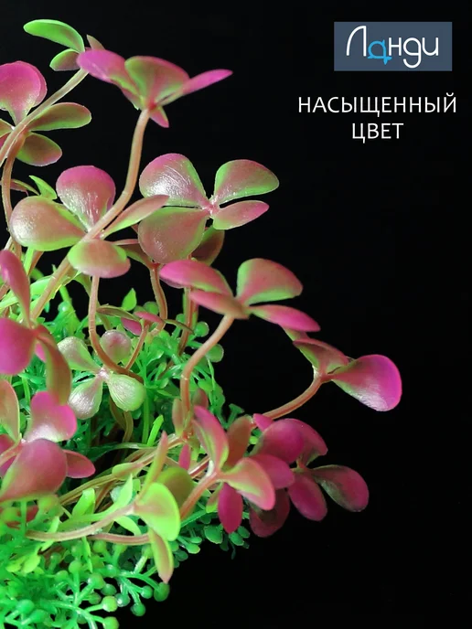 Ланди Декор для аквариума растение с травой «Марсилия», h-10 см, зеленый, фото 2