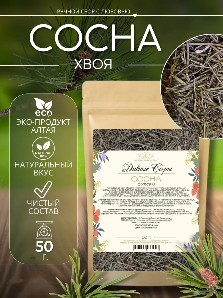 Сосна хвоя