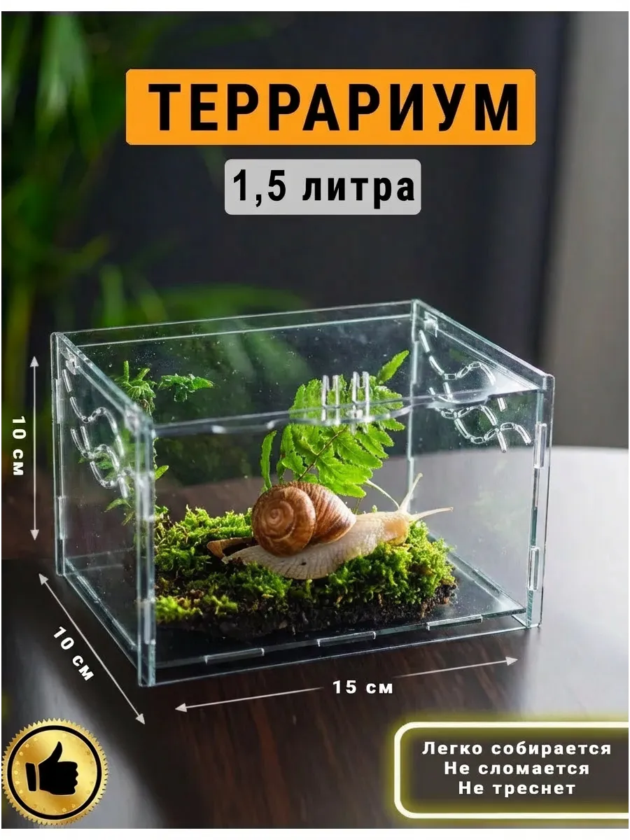 Террариум для Насекомых для Пауков 1,5л