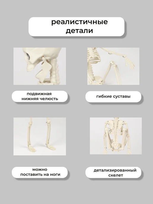 Party на hate Фигурка скелет интерьерная, вариант, фото 2