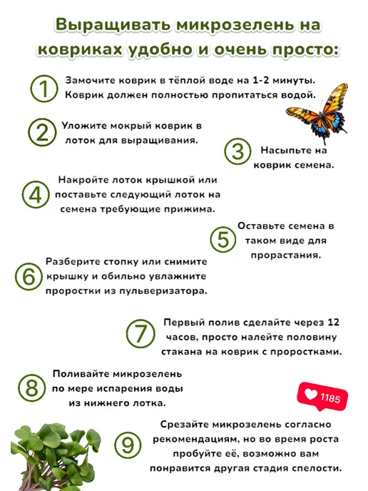 Агросидстрейд Кресс-салат Данский 100гр, микрозелень, 100 г, фото 2