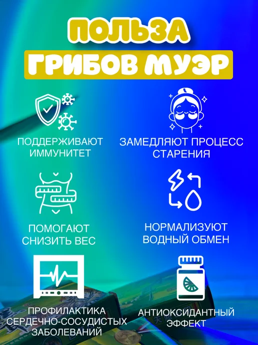 СИНЕ Грибы древесные сушеные прессованные муэр, 10 штук набор, фото 2