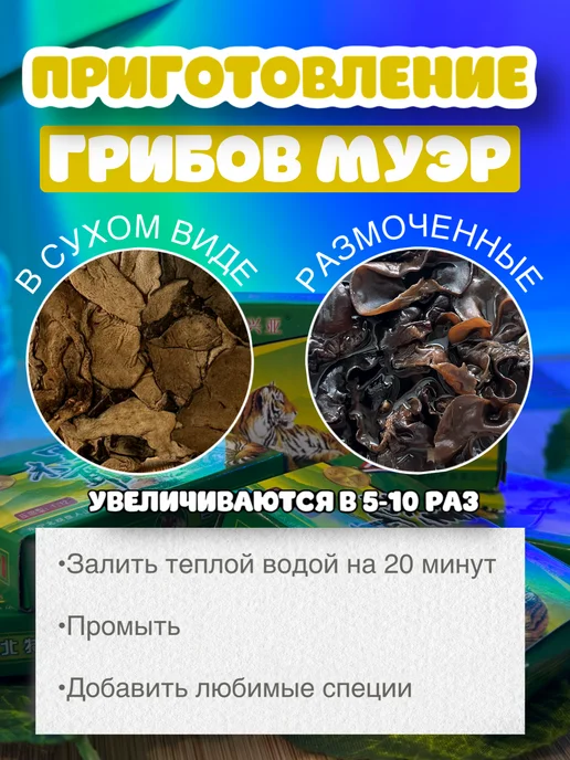 СИНЕ Грибы древесные сушеные прессованные муэр, 10 штук набор, фото 3