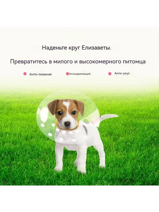 LOVIN LAND Защитный воротник для котят, белый, фото 3