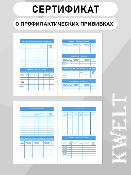 Kwelt Сертификат прививок форма 156 у для взрослых и детей, голубой, фото 4