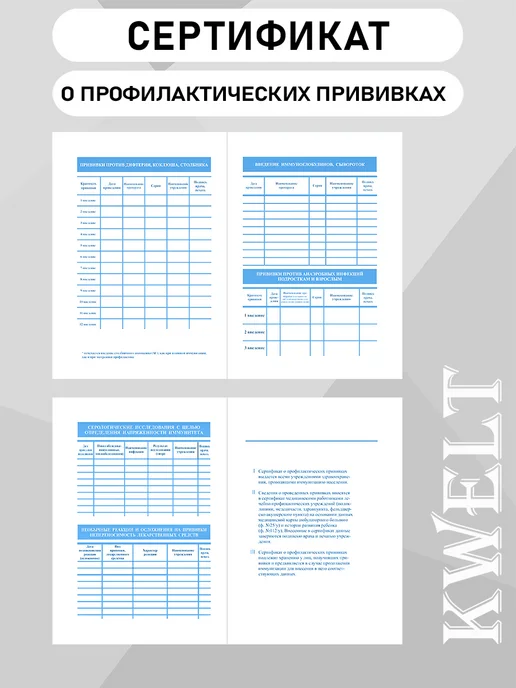 Kwelt Сертификат прививок форма 156 у для взрослых и детей, голубой, фото 5