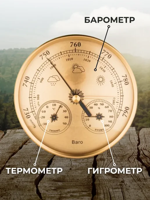 ACORNSTORE Барометр гигрометр 3 в 1 TH9392G золото, золотой, фото 3