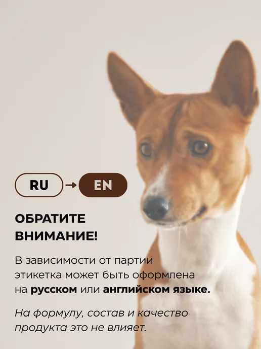 Ecolatier Шампунь для собак и кошек с хлоргексидином, 400 мл, 400 мл, 2 шт, фото 2