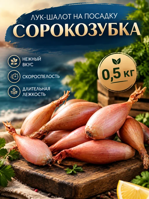 ЗНАТНЫЙ УРОЖАЙ Лук шалот сорокозубка для посадки 0.5кг, 0,5 кг