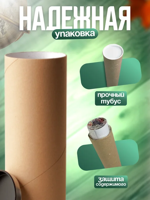 1-я Наклейка Расписание уроков Forsaken Roblox 1x1x1x1, 1x1x1, фото 7