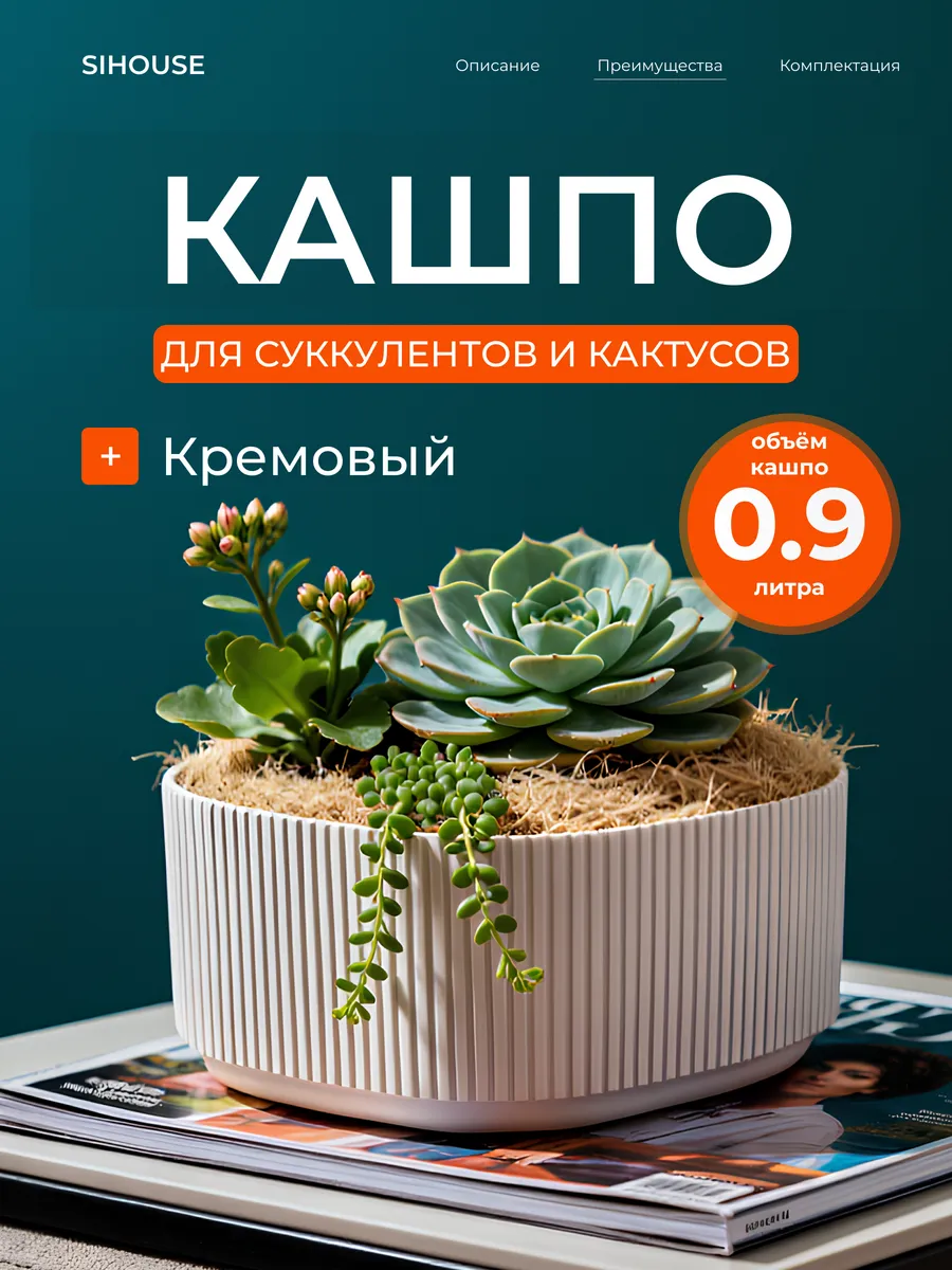 Кашпо для суккулентов и кактусов 0.9 л