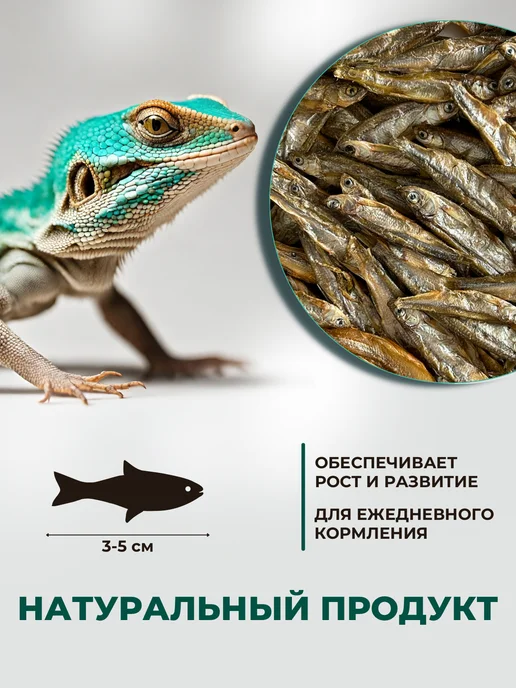 ZooKas Рыбка сушеная для черепах и ящериц, вариант, фото 2