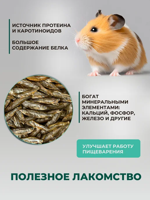 ZooKas Рыбка сушеная для черепах и ящериц, вариант, фото 3