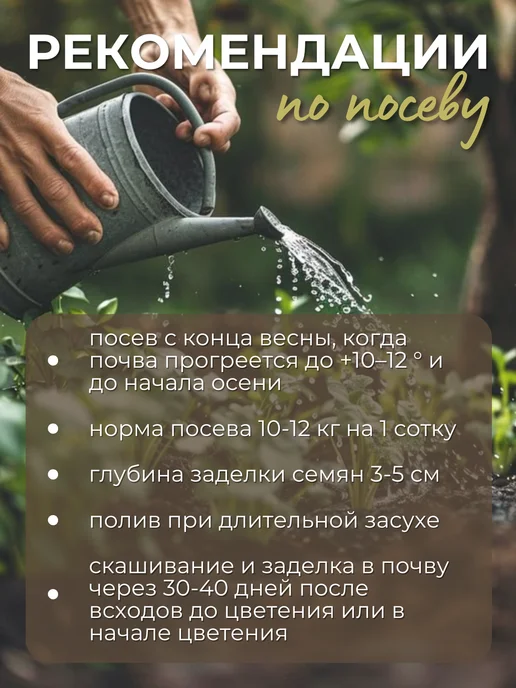 ЭКО ФЕРМЕР Гречиха семена 5 кг, 5 кг, фото 2