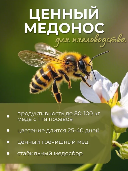 ЭКО ФЕРМЕР Гречиха семена 5 кг, 5 кг, фото 3