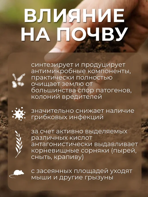 ЭКО ФЕРМЕР Гречиха семена 5 кг, 5 кг, фото 4