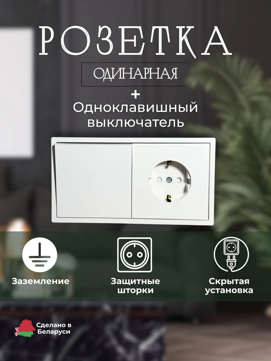 Розетка одинарная с одноклавишным выключателем внутренняя
