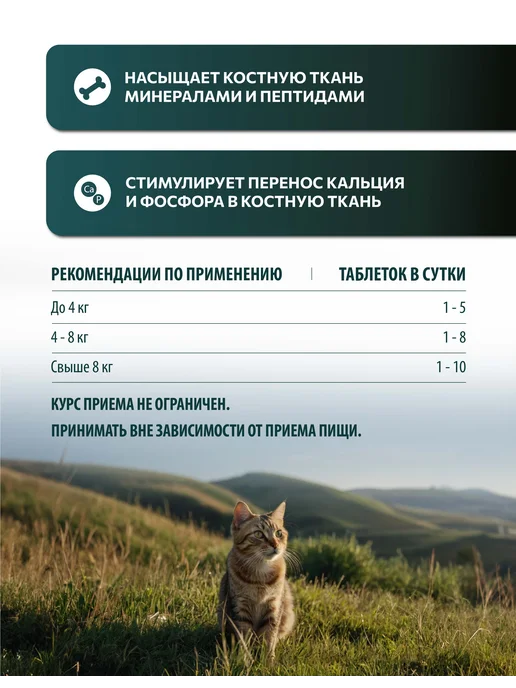 Vita+ Лакомство для кошек Для зубов и костей, 90 таблеток, 90 шт, фото 2