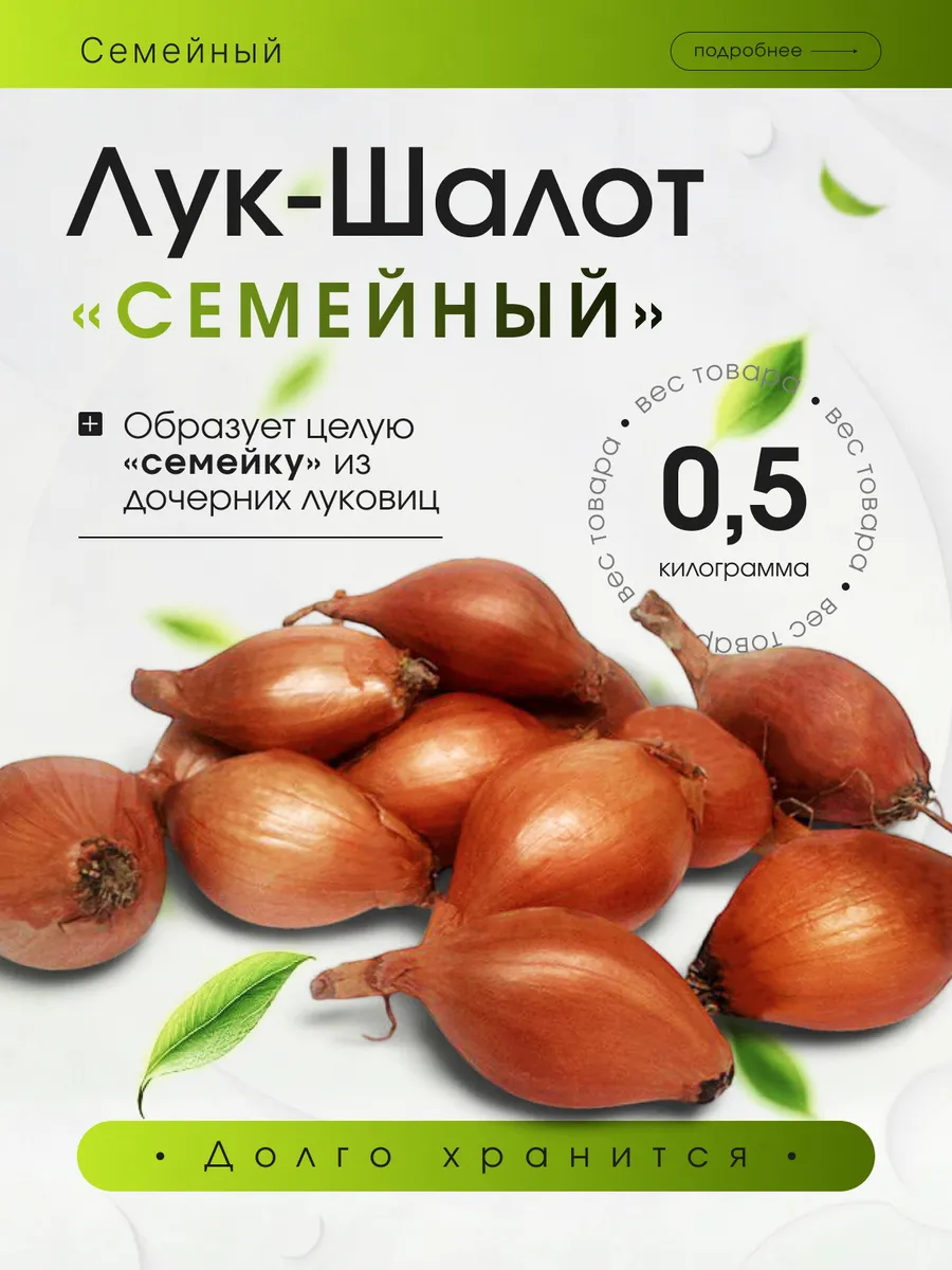Лук шалот луковицы на посадку семейный 0,5 кг