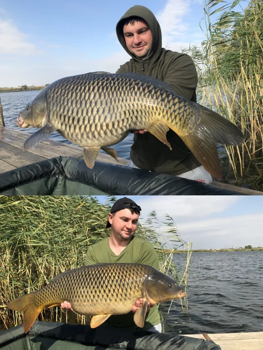 Трофей Fishing Ликвид-дип ароматизатор для рыбалки "Карп" Тигровый орех, вариант, фото 3