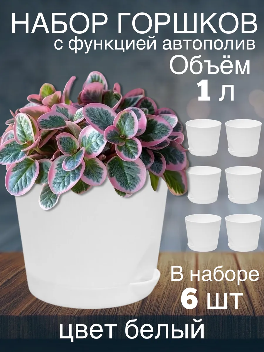 Горшок для цветов набор 1 литр 6 шт