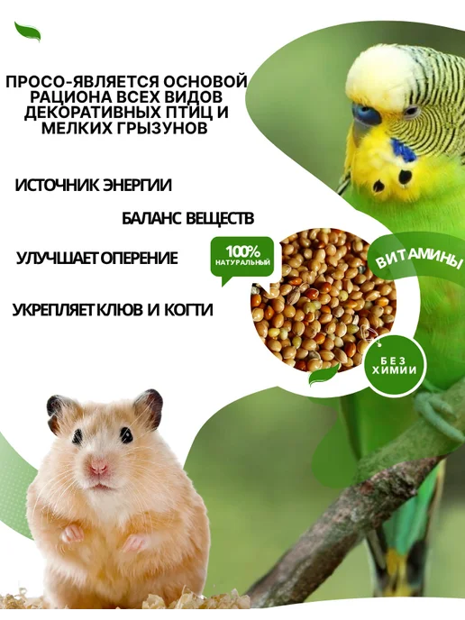 Просо желтое сухой корм для животных, желтый, в упаковке 20,1 кг, фото 2