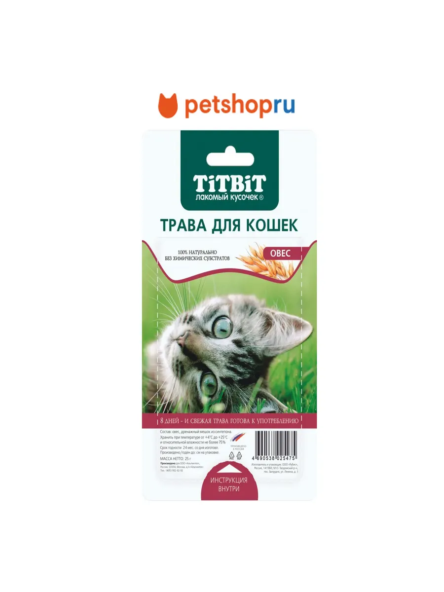 Трава для кошек