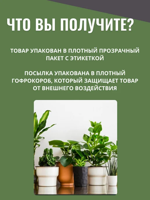 SMESI_PRO Кварцевый песок для растений 2 кг, 2 кг, фото 3